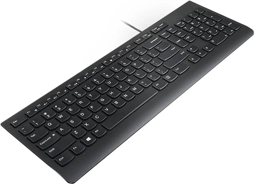 Lenovo Essential Wired Keyboard Black US English