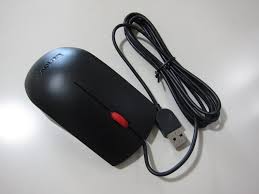 Lenovo Essential USB Mouse
